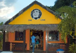 Dunns River Falls plus Bob Marley Nine Mile Private Tour