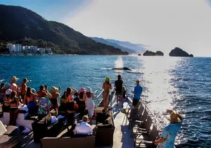 Sunsets and Whales Mega Yachts ALL INCLUSIVE: Puerto Vallarta