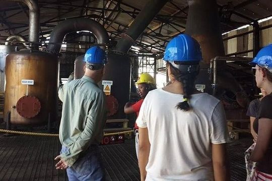 Hampden Estate Rum Tour and Lunch from Ocho Rios