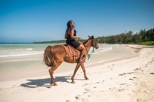 Horseback Ride and Swim Tour In Montego Bay