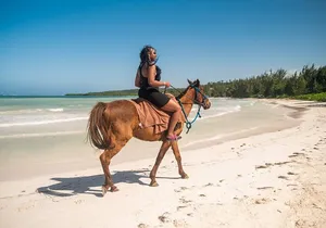 Horseback Ride and Swim Tour In Montego Bay