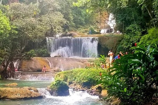 YS Falls Private Tour