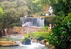 YS Falls Private Tour
