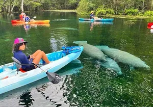 Silver Springs Kayak Rental - The Best Florida Adventure