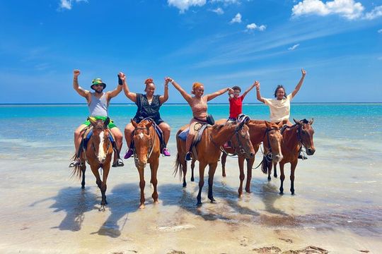 Dunn’s River Falls & Horseback Ride n Swim Guided Tour In Jamaica