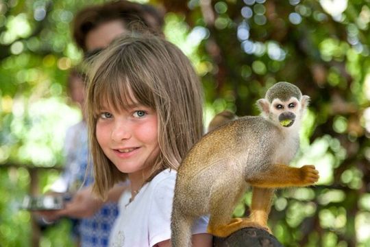 Full Day Guided Triple Adventure Combo From Punta Cana