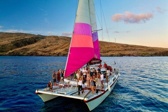 Whale Watching Tour on a Charming Hawaiian Catamaran From Maalaea