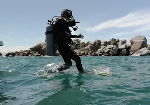 Acapulco Beginners Scuba Diving