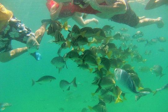 Private Snorkel Cruise in Cabo San Lucas