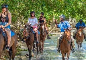 Horse and ATV Quad Combo from Ocho Rios