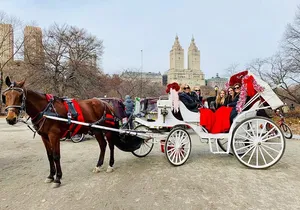 45 Minute VIP Central Park Carriage Ride