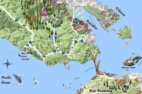 Best San Francisco, Muir Woods & Sausalito Private Combo Tour