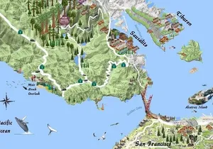 Best San Francisco, Muir Woods & Sausalito Private Combo Tour