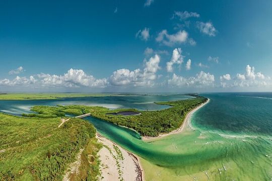 Tulum Sian Ka’an Adventure : Dolphins, Turtles & Punta Allen