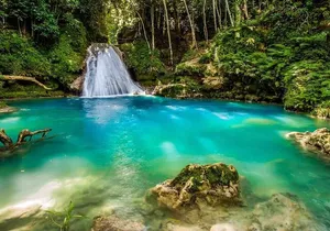 Horse Back Riding and Blue Hole Ocho Rios Private Tour