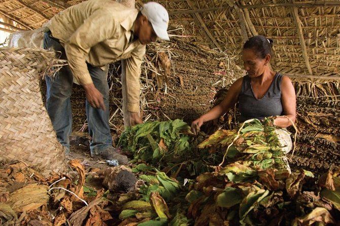 Higuey City Tour from Punta Cana