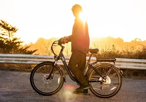 Lake Tahoe: Full Day Bike Rental | Unforgettable Lakeside Ride