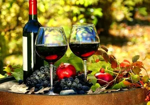 Secrets of winemaking and perfumery on the Côte d'Azur Cannes Shore Excursion