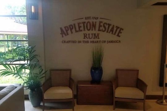 YS Falls and Appleton Estate Private Rum Tour