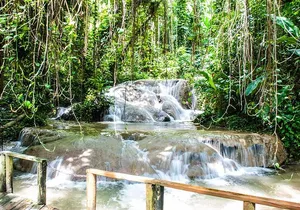 Turtle River Falls and Gardens Private Tour