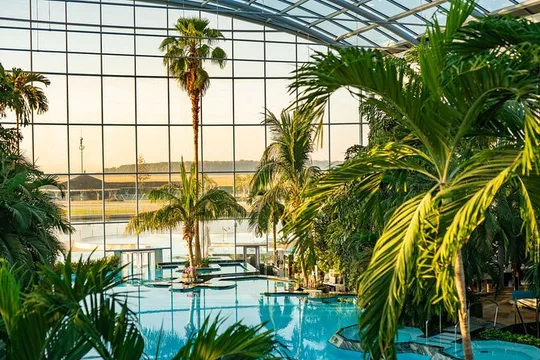 Therme Bucuresti: Entry Ticket and Transfer