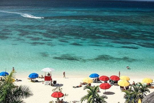 Montego Bay Highlights Tour from Montego Bay