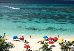 Montego Bay Highlights Tour from Montego Bay