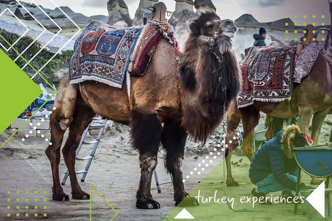 6 Day Tour to Istanbul, Cappadocia, Pamukkale, Kusadasi, Ephesus