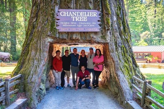 Avenue of the Giant Redwood Private 1 day Tour from San Francisco