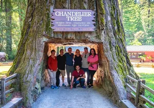 Avenue of the Giant Redwood Private 1 day Tour from San Francisco