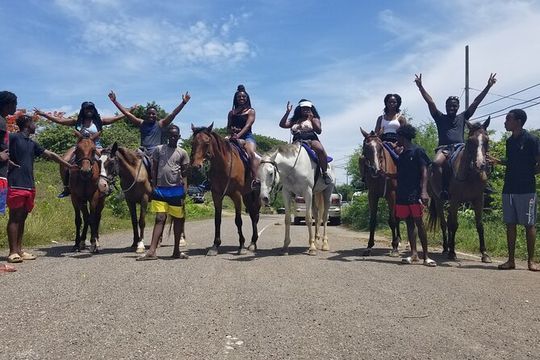 Horseback Ride and Swim in Ocho Rios with Transportation