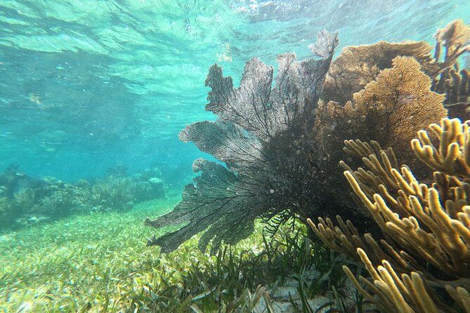 2 Island Adventure: Contoy & Mujeres with Snorkeling & open bar