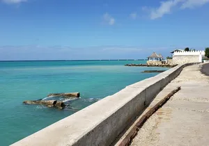 Montego Bay Private Highlights Tour with Pickup