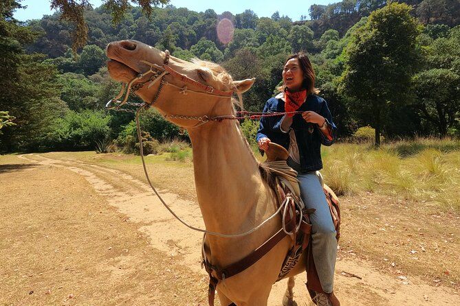 Horseback Riding in the Forest and Breakfast in Cabin