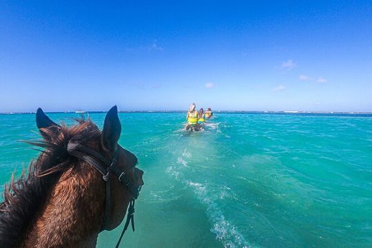 Horseback Riding and River Tubing Combo from Montego Bay