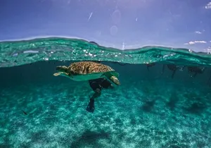 Small Group Semi Private Akumal and Cenote Snorkeling Tour