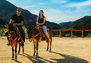 Muleback Riding Tour