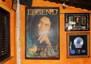 Bob Marley Nine Mile - Dunn's River Falls and Columbus Park Day Adventure