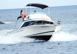 Whale and dolphin watching tour Los Gigantes and Masca in small groups