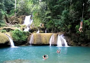 YS Falls & Black River safari