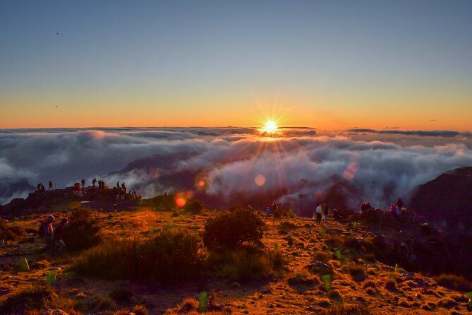 Embark on a Luxurious Private Journey: Unveiling the Madeira Best