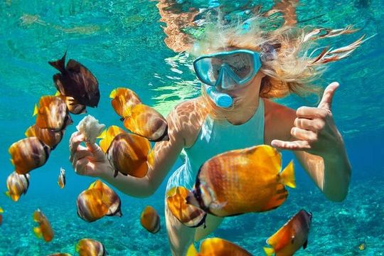 1 Hour Private Snorkeling Activity In Montego Bay