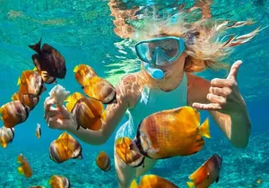 1 Hour Private Snorkeling Activity In Montego Bay