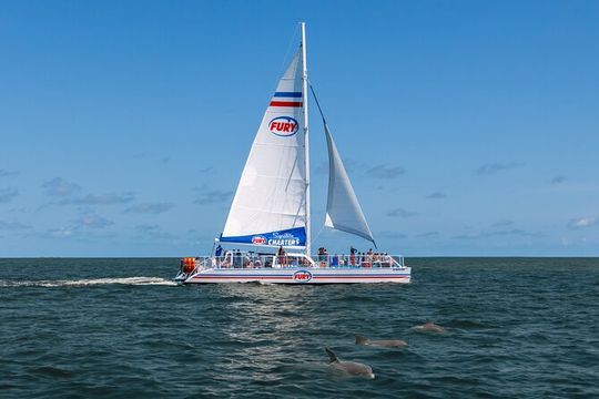 Dolphin Watch & Harbor Tour in Historical St. Augustine