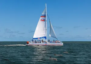 St. Augustine Dolphin Watch - Dec 13 Only Sail with Santa