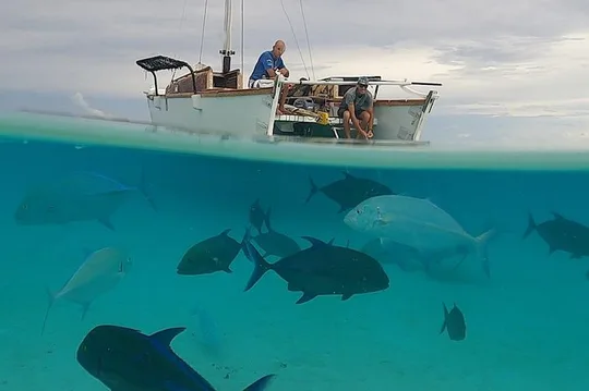 Introduction to sailing and discovering the lagoon