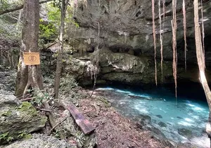 Electric fatbike ecological tour in the Mayan lands