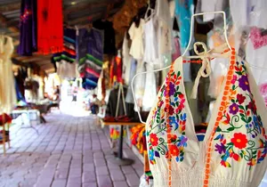 Half Day Shopping and Private Guided City Tour