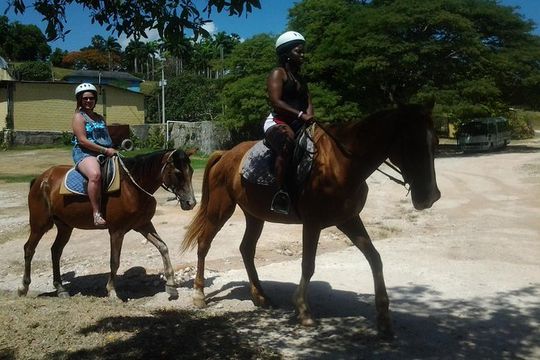 Horseback Riding Dunn's River Falls Adventure from Montego Bay