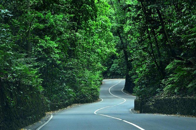 Eco-Tour (Konoko Falls & Fern Gully- from Ocho Rios